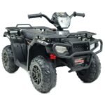 Fast quad 12V "Champion"