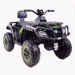 1-green-800-2.jpg