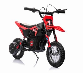 Big motocross bike 24V "Race" (250W, disc brakes)