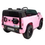 1-pink-1024-2.jpg
