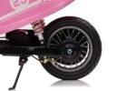 1-pink-1024-2-1.jpg