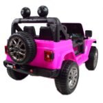1-pink-1024-2-5.jpg