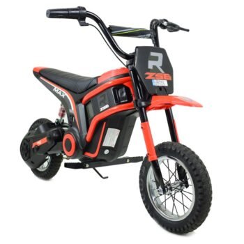 Big motocross bike 24V (350W, air tyres)