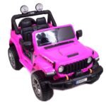 1-pink-1024-2-5.jpg