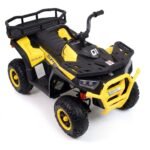 1-yellow-1024-2.jpg
