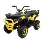1-yellow-1024-2.jpg