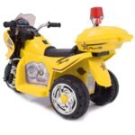 1-yellow-1500-a.jpg