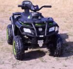 1-green-800-2.jpg