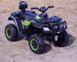 1-green-800-2.jpg